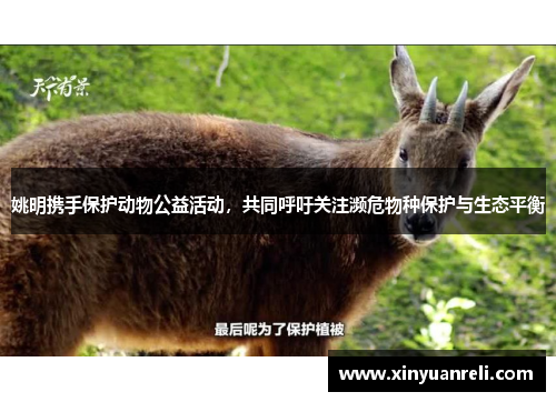 姚明携手保护动物公益活动，共同呼吁关注濒危物种保护与生态平衡